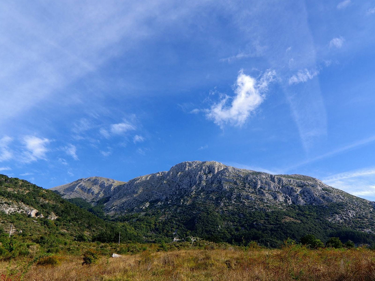 Contesto del progetto Green Communities